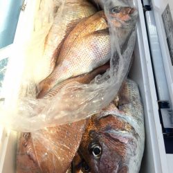 第二八坂丸 釣果