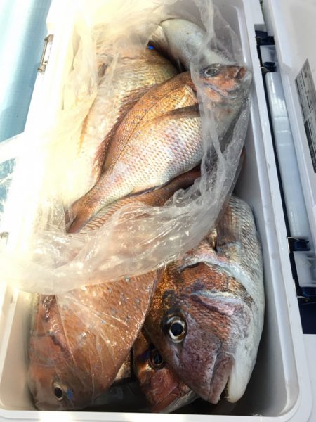 第二八坂丸 釣果