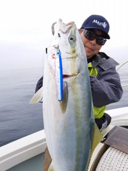 アマテラス 釣果