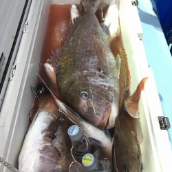 第二八坂丸 釣果