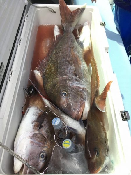 第二八坂丸 釣果