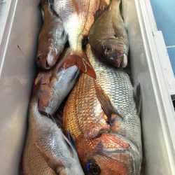 第二八坂丸 釣果