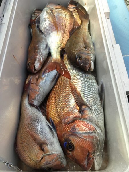 第二八坂丸 釣果