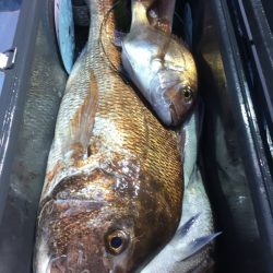 第二八坂丸 釣果