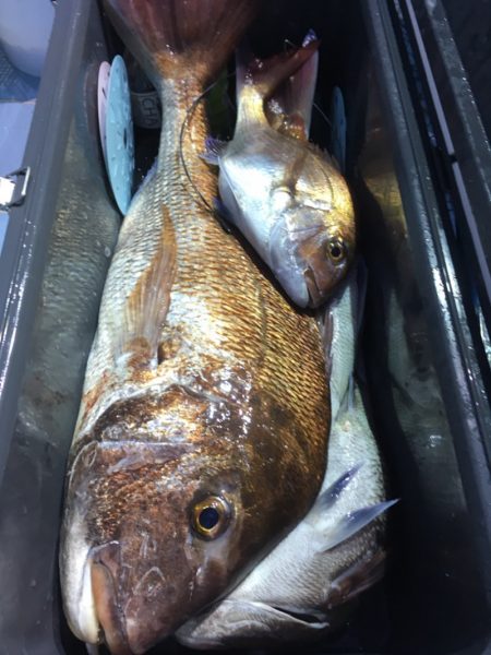 第二八坂丸 釣果