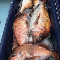 第二八坂丸 釣果