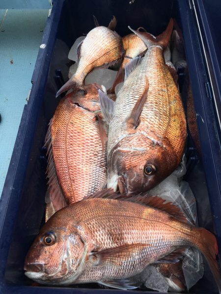 第二八坂丸 釣果