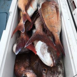 第二八坂丸 釣果