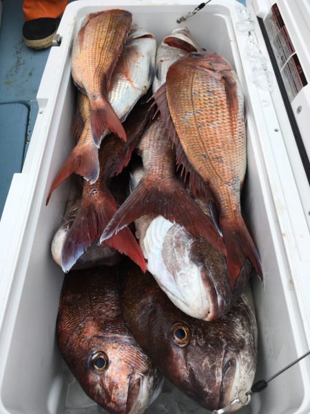 第二八坂丸 釣果