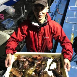 ヤザワ渡船 釣果