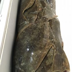 第二八坂丸 釣果