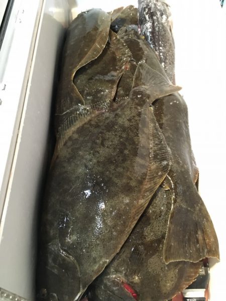 第二八坂丸 釣果