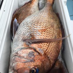 第二八坂丸 釣果