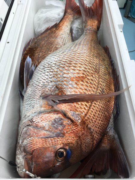 第二八坂丸 釣果