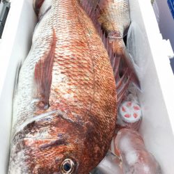 第二八坂丸 釣果