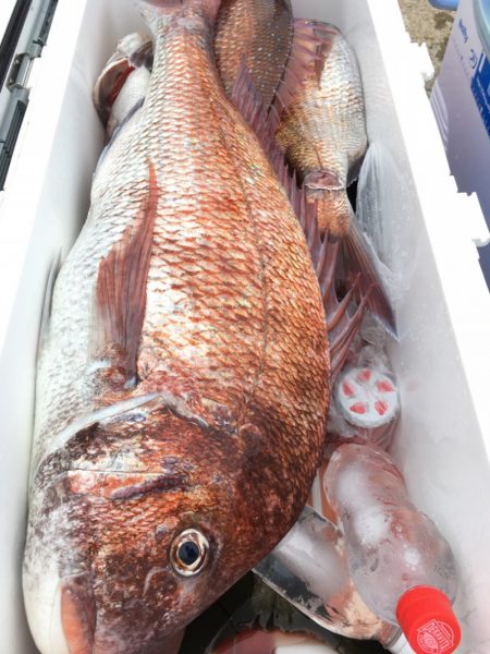 第二八坂丸 釣果