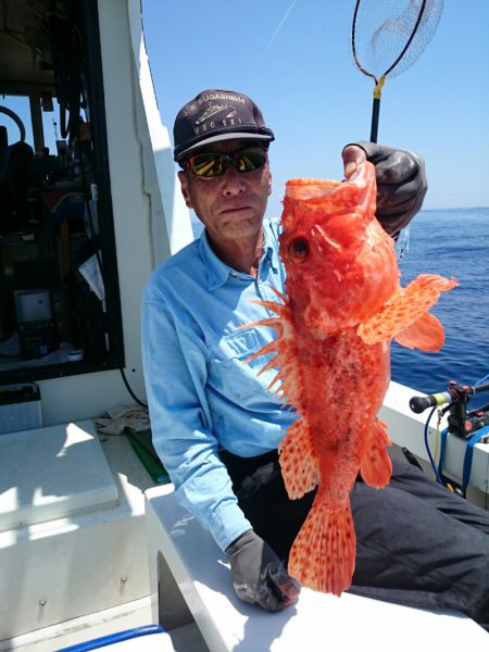 エンペラー 釣果