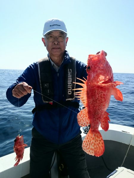 エンペラー 釣果