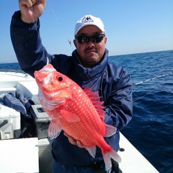 エンペラー 釣果