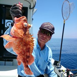 エンペラー 釣果