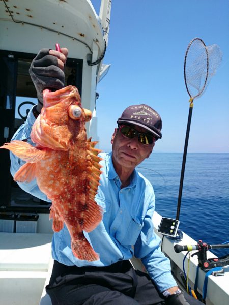 エンペラー 釣果