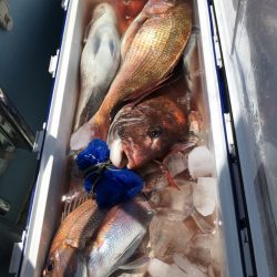 第二八坂丸 釣果