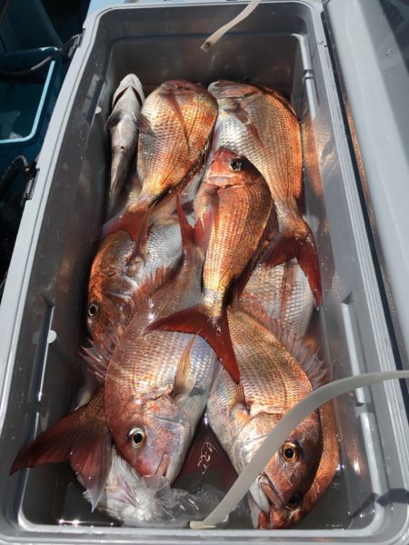 第二八坂丸 釣果