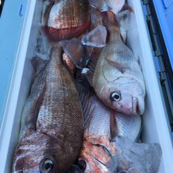 第二八坂丸 釣果