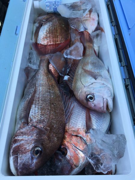 第二八坂丸 釣果