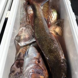 第二八坂丸 釣果