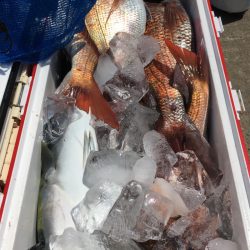 第二八坂丸 釣果