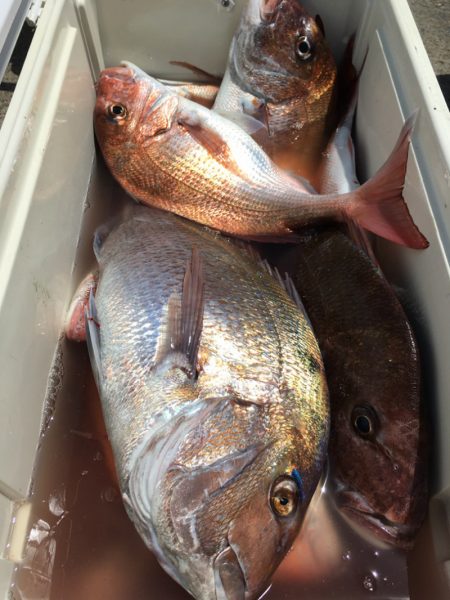 第二八坂丸 釣果