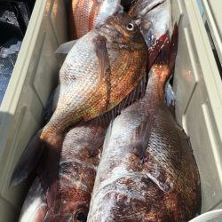 第二八坂丸 釣果