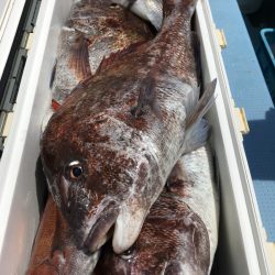 第二八坂丸 釣果