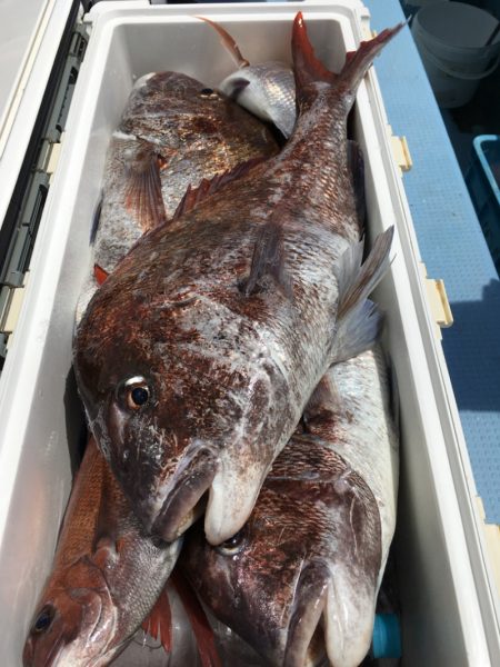 第二八坂丸 釣果