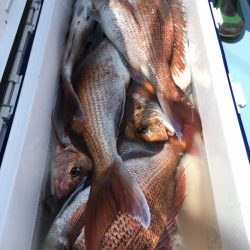 第二八坂丸 釣果