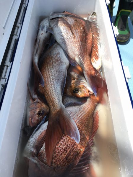 第二八坂丸 釣果