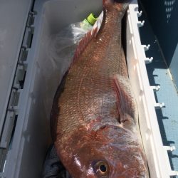 第二八坂丸 釣果