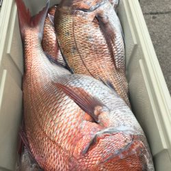 第二八坂丸 釣果