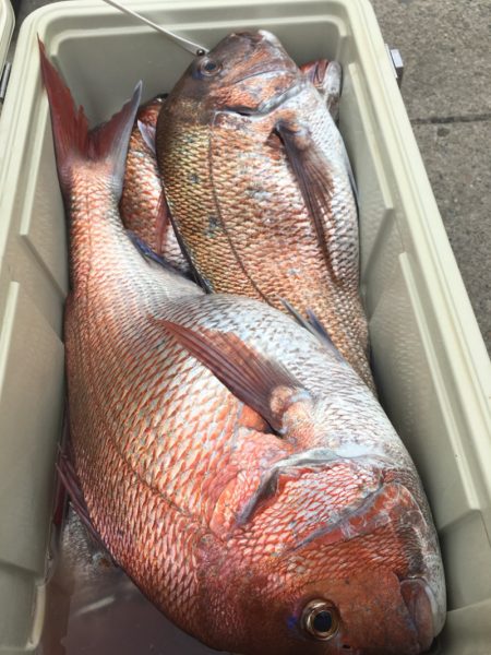 第二八坂丸 釣果