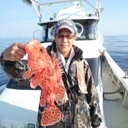 エンペラー 釣果