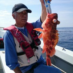 エンペラー 釣果