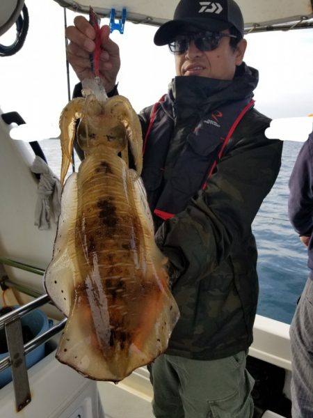 ソルトウォーターガイドフレンズ 釣果