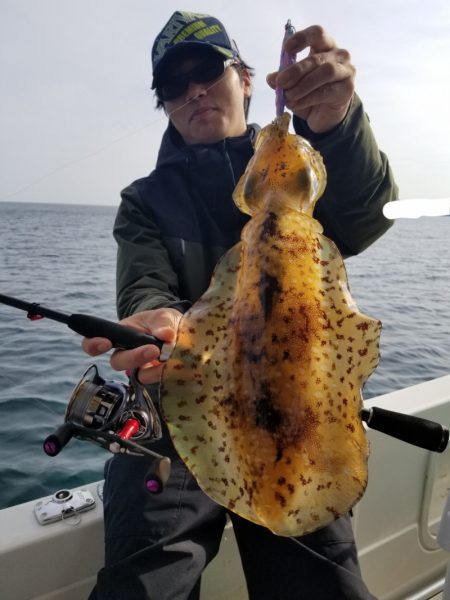 ソルトウォーターガイドフレンズ 釣果