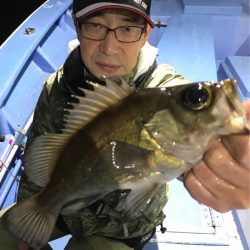 ヤザワ渡船 釣果