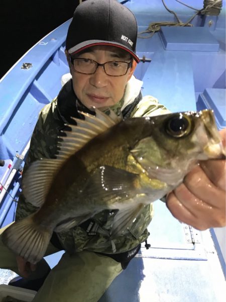 ヤザワ渡船 釣果