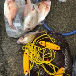 あみや渡船 釣果