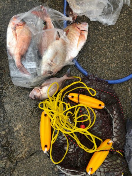 あみや渡船 釣果