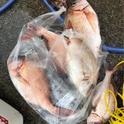 あみや渡船 釣果