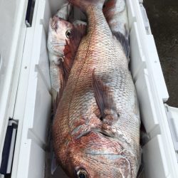 第二八坂丸 釣果